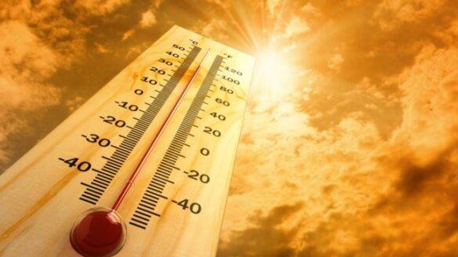 Belgium records nearly 3,000 excess deaths during summer heatwaves