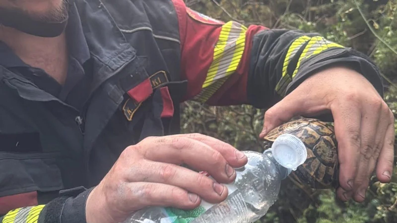 Емотивна фотографија: пожарникар од Корчула ѝ дава вода на желка за време на пожар на Пељешац