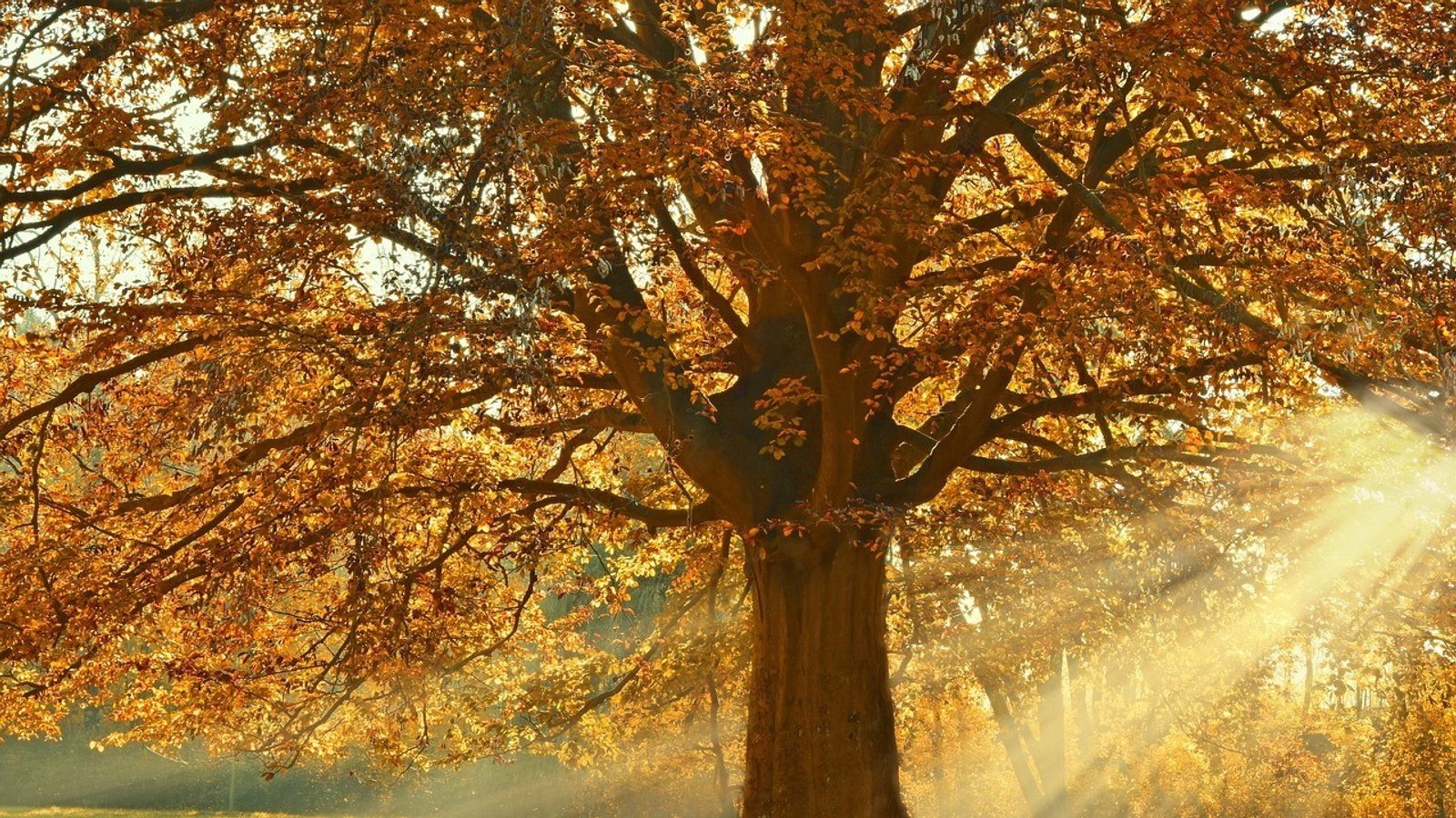 Autumn begins tonight at 02:05 — first day 12 hours 7 minutes