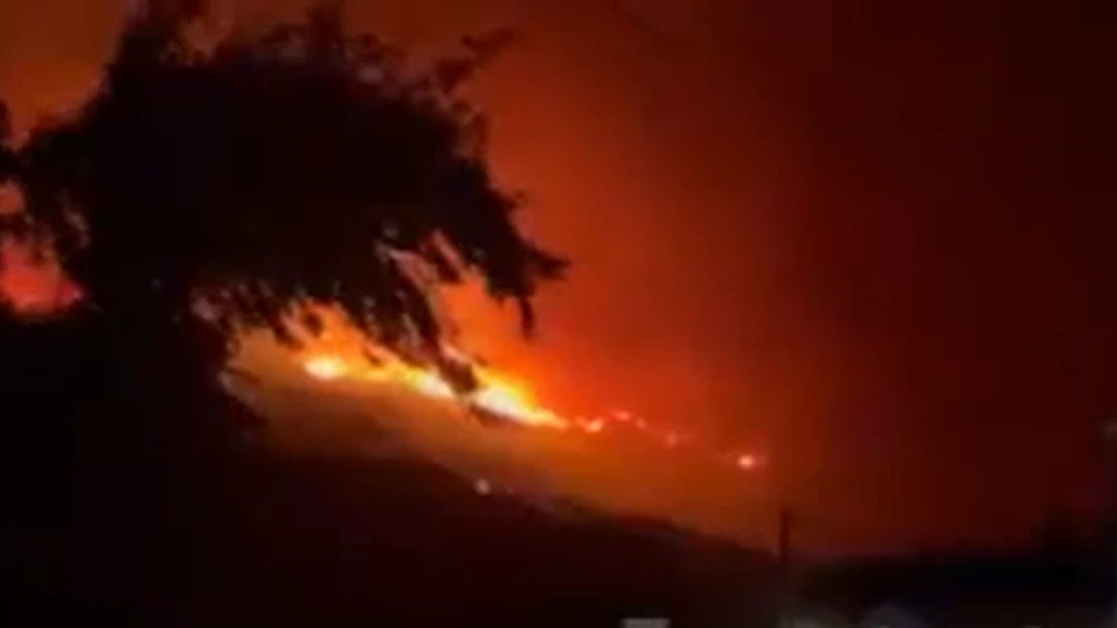 Голем пожар кај Ситија на Крит — 105 пожарникари и 35 возила во борба со огнот