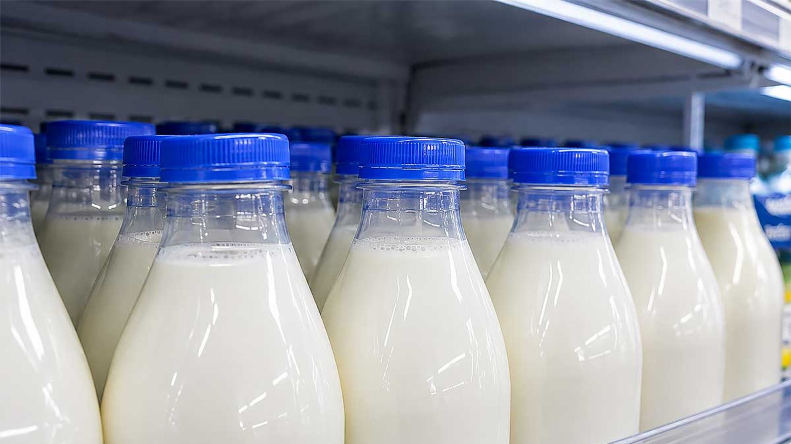 Horizon Organic recalls 53,760 aseptic chocolate milk cartons in U.S.