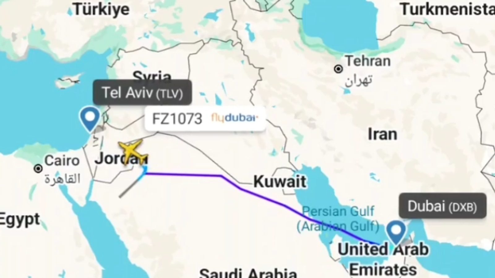 Israel suspects attempted terror attack after Flydubai flight FZ1073 was diverted to Tabuk