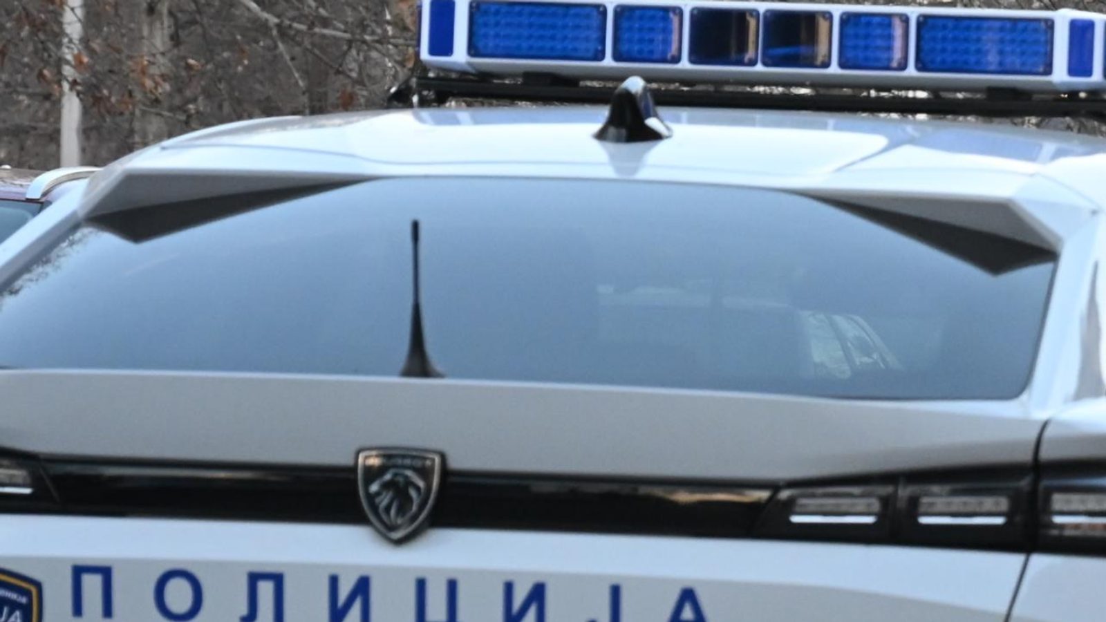 Канадски државјанин приведен во Куманово поради археолошки предмет