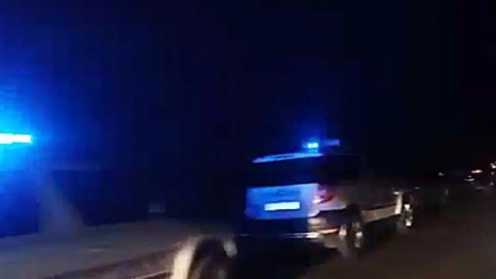 Bear euthanized after being hit by car on Skopje–Tetovo highway