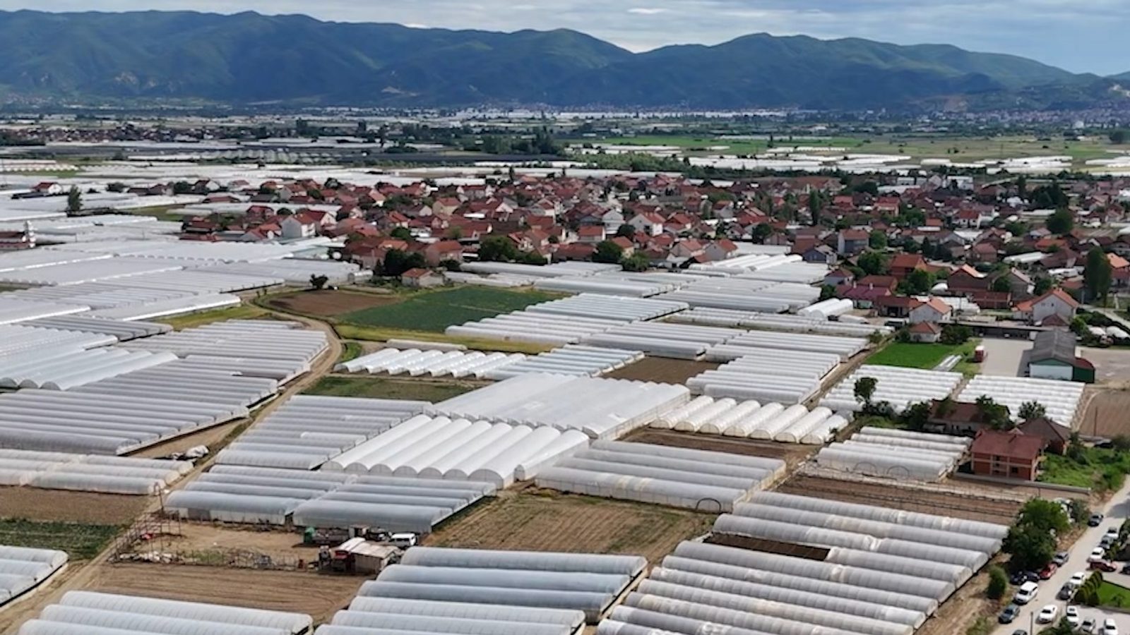 Ministry to ask competition authority to probe procurement of peppers and other crops