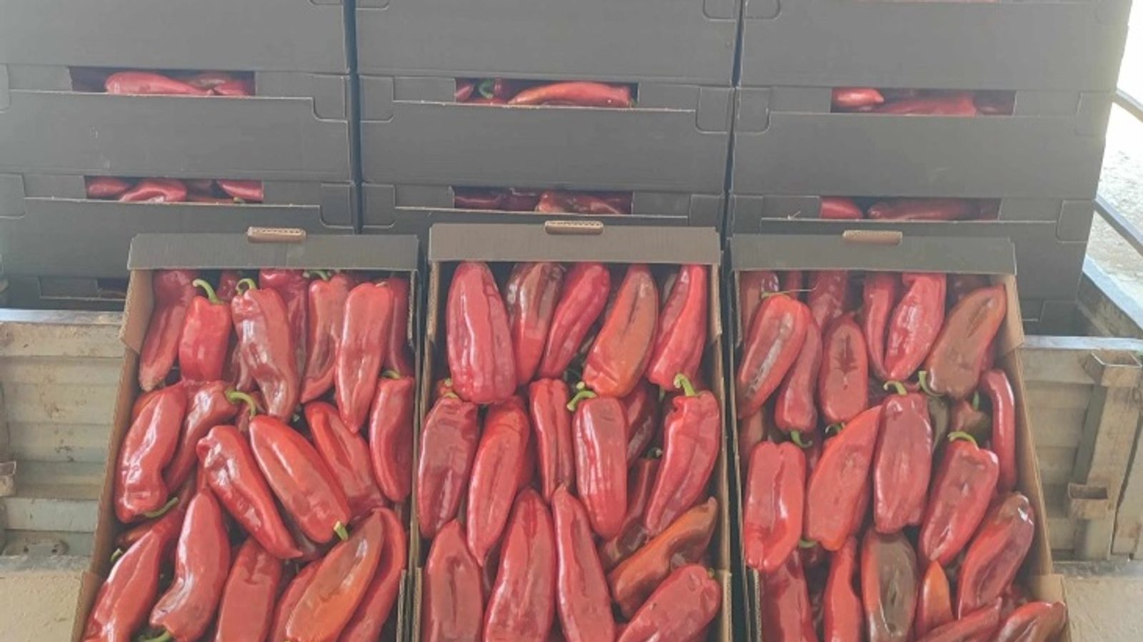 Ministry to ask Competition Commission to probe procurement of agricultural products