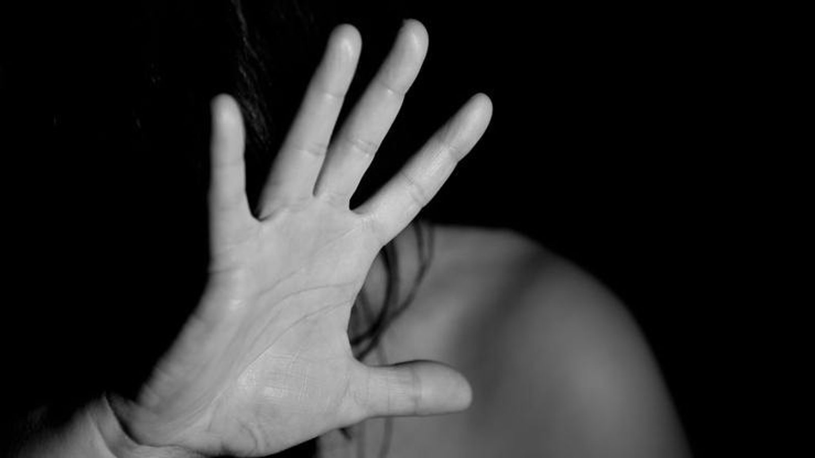 Низа пријави за семејно насилство низ државата: приведени и поднесени кривични пријави