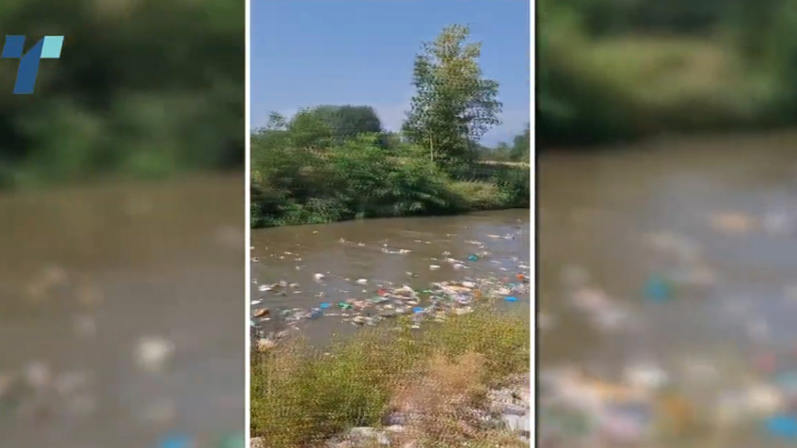 Fallen tree trapped plastic in the Vardar, exposing a new pollution problem near Jegunovce