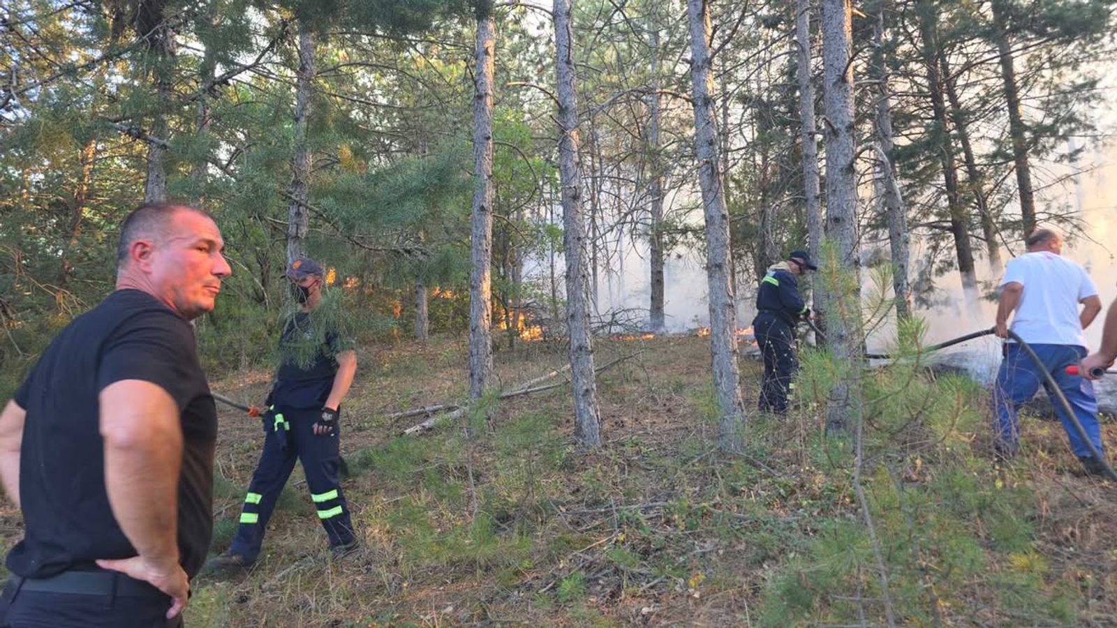 Повторно воспоставена контрола на пожарот кај штипско Селце