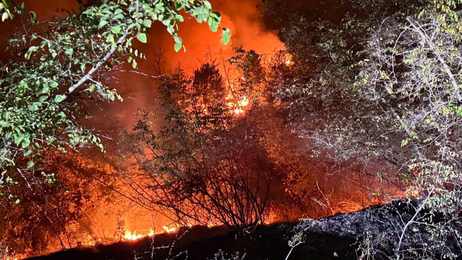 Пожарот кај Ново Село не бил случаен – полицијата ги приведе сторителите