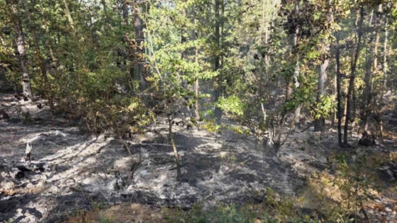 Fire on Pelister fully extinguished after 72 hours of firefighting