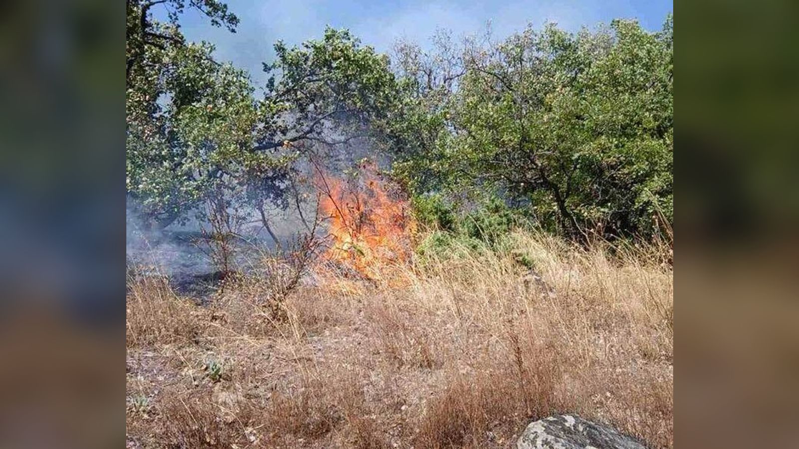 Сериски потпалувач од Прилеп ќе одговара за три пожари предизвикани во еден ден