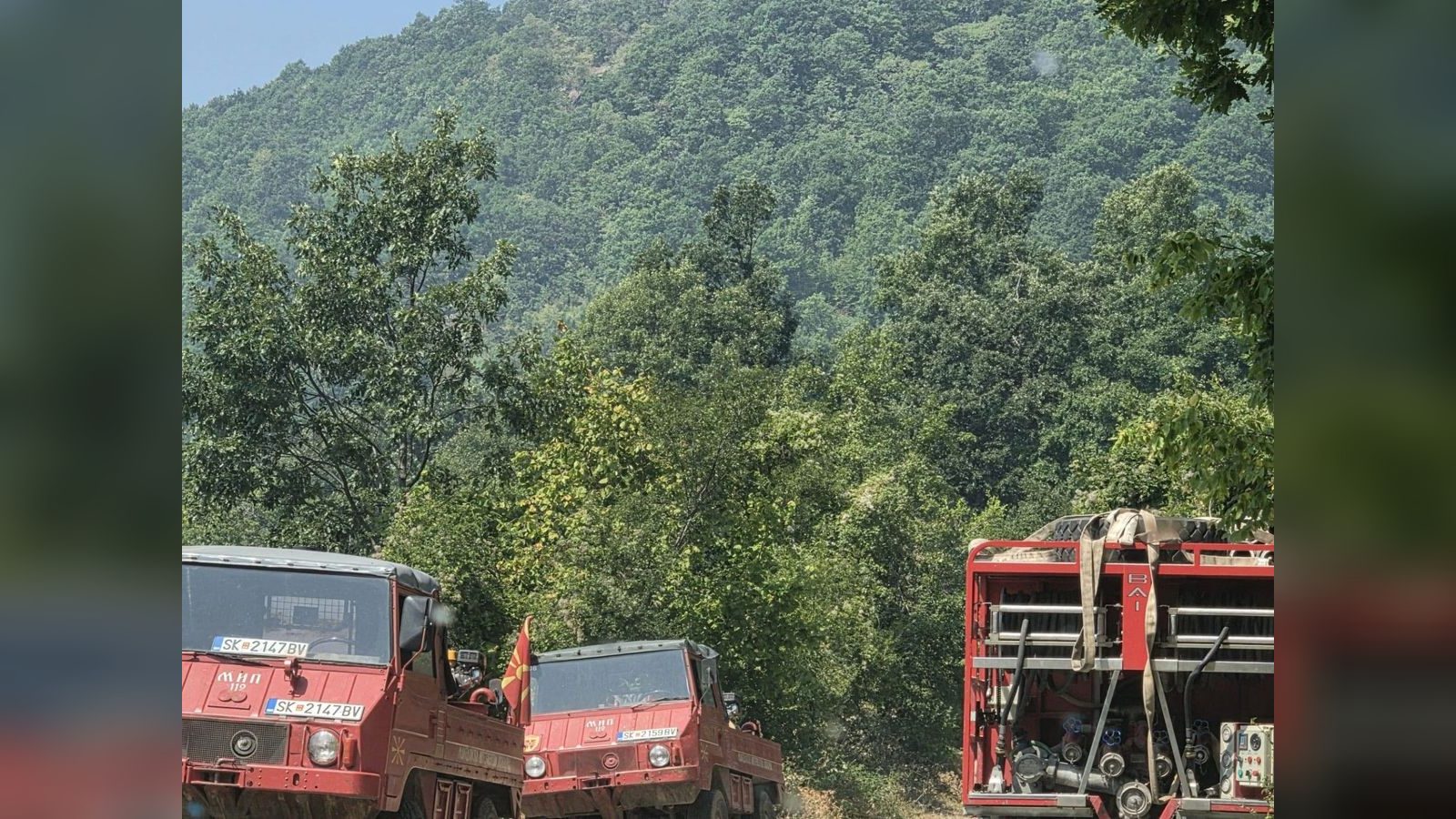 Сите државни ресурси ангажирани за заштита на планината Китка