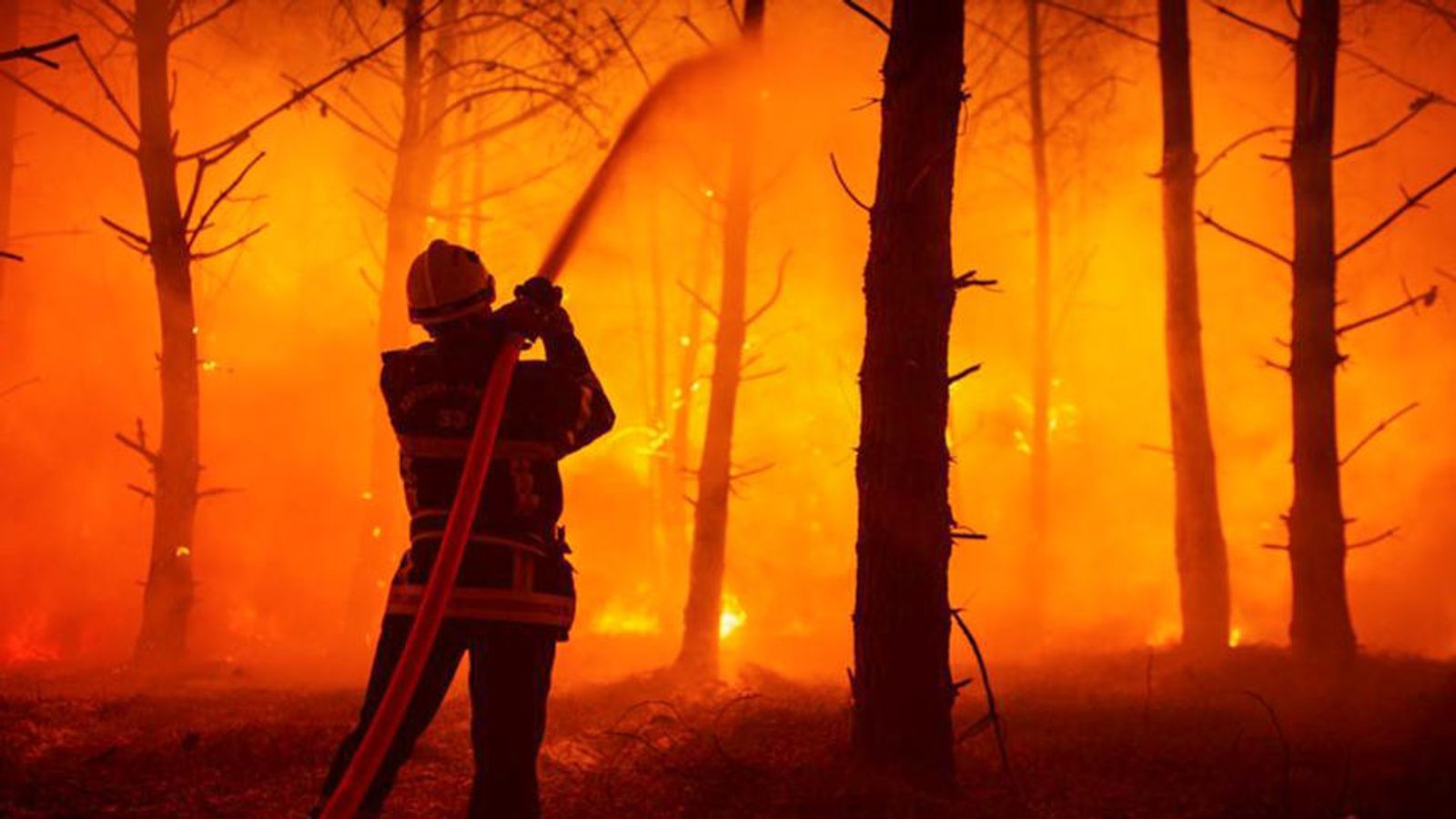 EU: 700,000 hectares burned this year, commission proposes 'European firefighters'