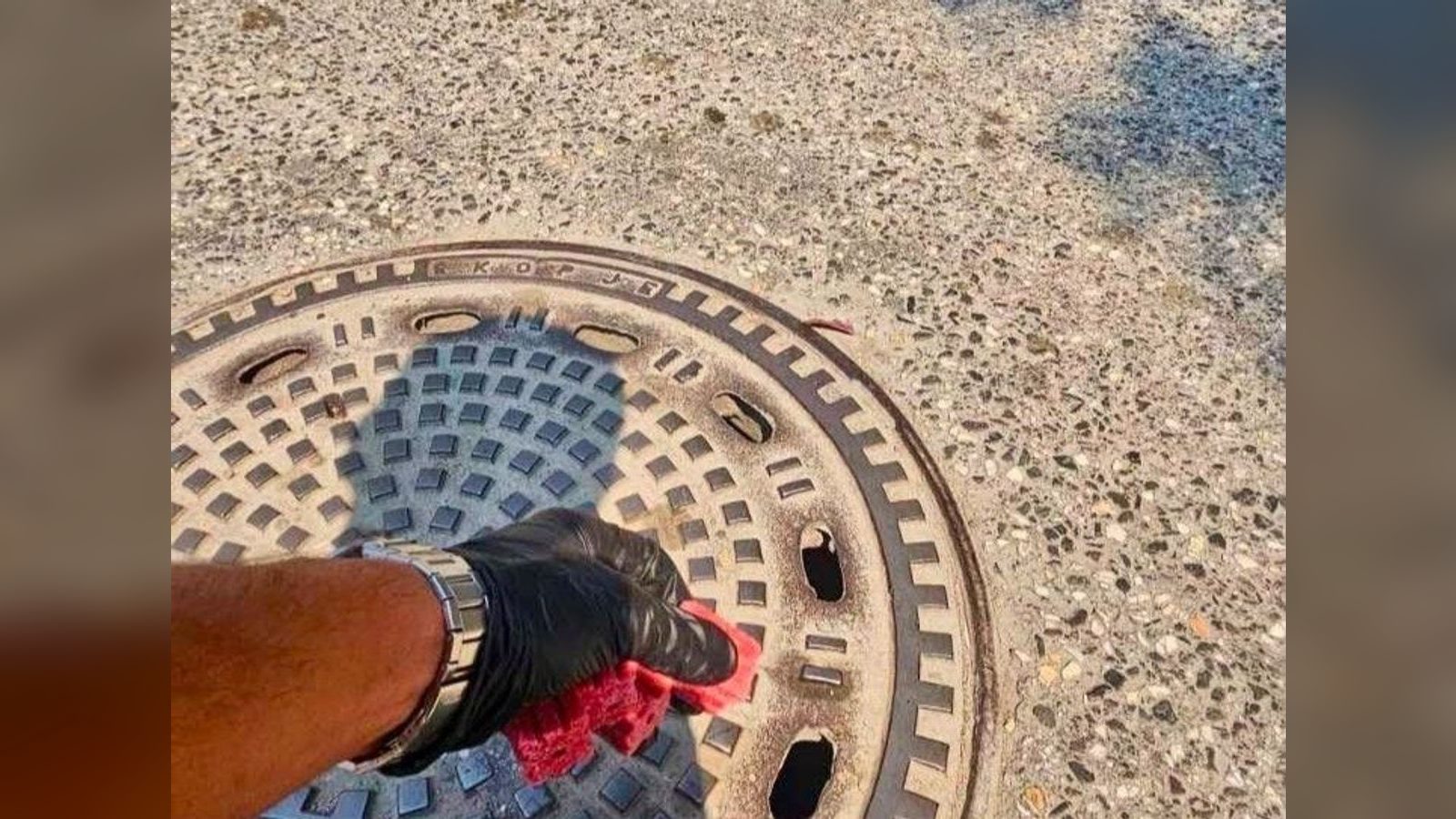Вонредна дератизација во Центар поради зголемена појава на глодари